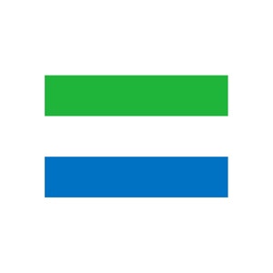 Set of 2 x Sierra Leone Flag Iron on Screen Print for fabric Machine Washable Transfer