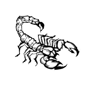 Peut inclure: Illustration en noir et blanc d'un scorpion avec sa queue enroulée. Le scorpion est dessiné dans un style détaillé et réaliste.