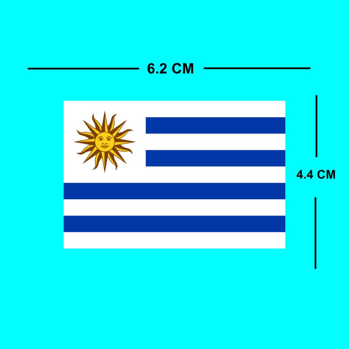 2 X Uruguay Flag IRON on Screen Print Transfer Patch Applique Uruguayan ...