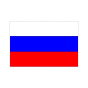 Satz von 2 Russland Flagge Eisen auf Sieb Druck Transfers für Stoffe Maschine waschbar russische Flagge Patch