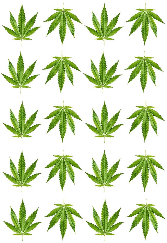Set of Cannabis Temporary Tattoo Marijuana Plant Leaf Patch Weed Waterproof  Hemp Rasta Body Art - Etsy Norway