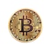Bitcoin Iron on Screen Print Transfers for Fabrics Washable Crypto ...