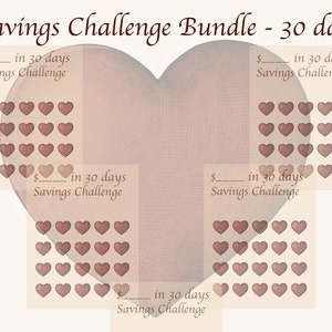 Savings Challenge - 30 day bundle