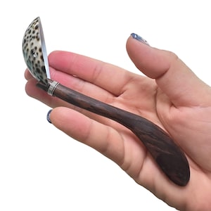 Natural Shell Spoon: Salt Serving Spoon, 5"