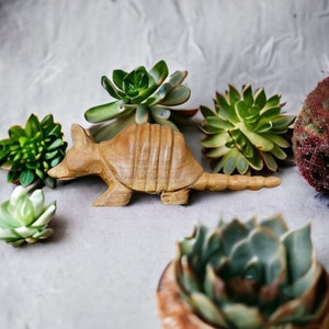 Wooden Musical Armadillo Whistle Percussion Instrument