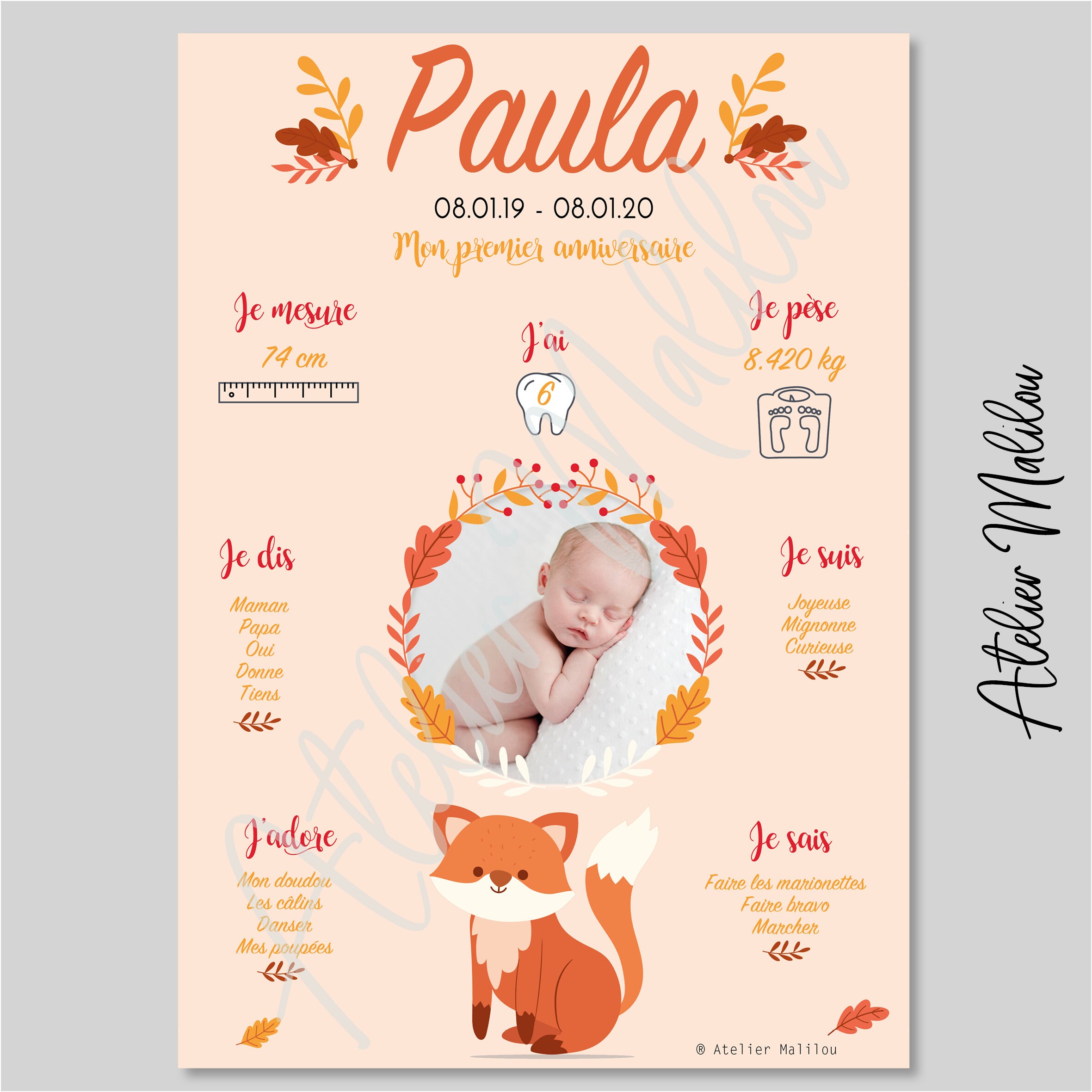 Affiche Anniversaire Renard