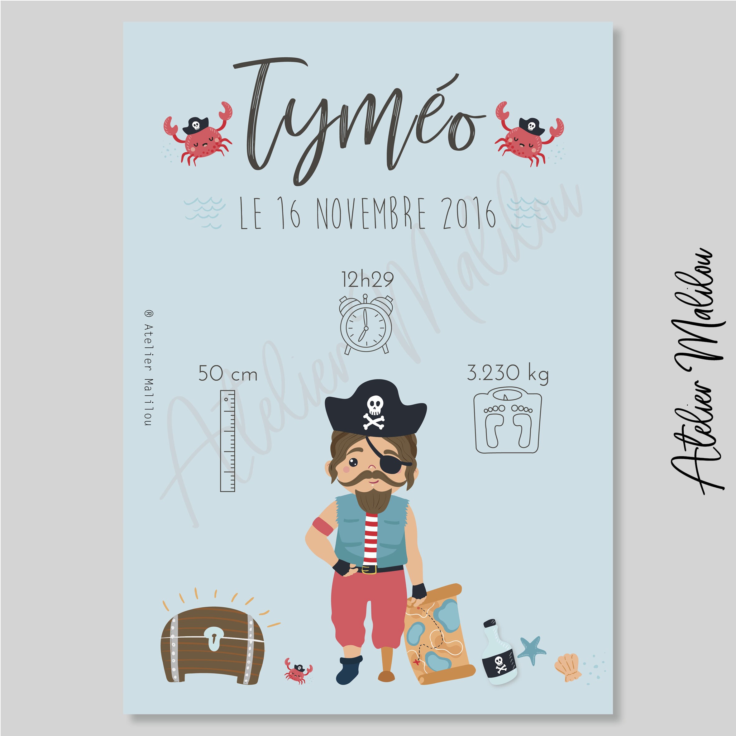Affiche Naissance Pirate