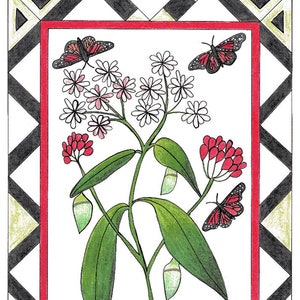 Butterfly Magic - Rug Hooking Kit