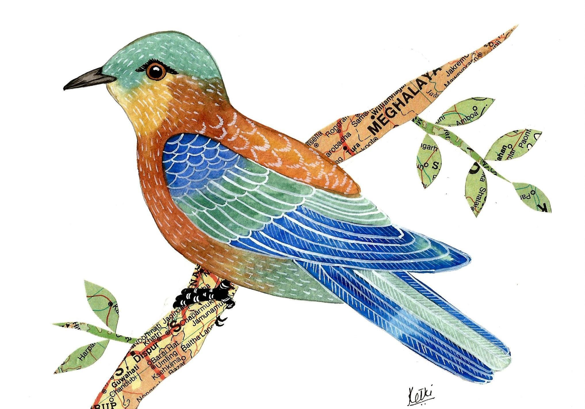 Indian Roller Watercolour Bird Artwork Original One of a | Etsy