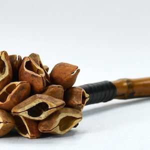 Hope Rattle | Oleander Seeds | Ancient Musical Instruments | 100% Handcrafted | Natural Rattle