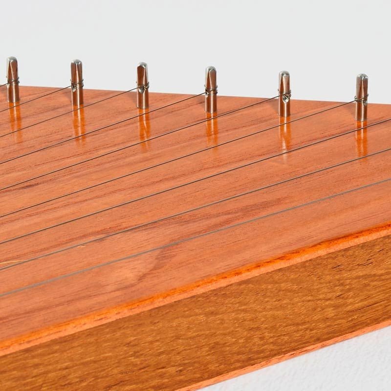 SVARAVEENA Ancient String Instrument for Sacred Ceremonies, Healing