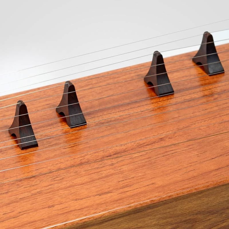 ANANTAR Tamboora Santoor Infinite Strings Pentatonic Scaled Raga Unfolds Natural Harmonics and Rich Sound image 6