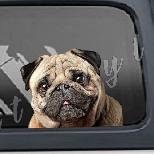 Pug Vinyl Decal Etsy