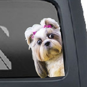 Shih Tzu side eye in the Window Funny Puppy Dog Lover Decal Cute Dog Decal Vinyl 3D graphics Funny Animal Decal Sticker Car Truck SUV decal