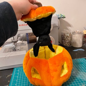 Jack-ó-Lantern Surprise