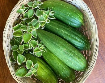 Luffa / Loofah / Dishcloth Gourd Seeds ~ Organic