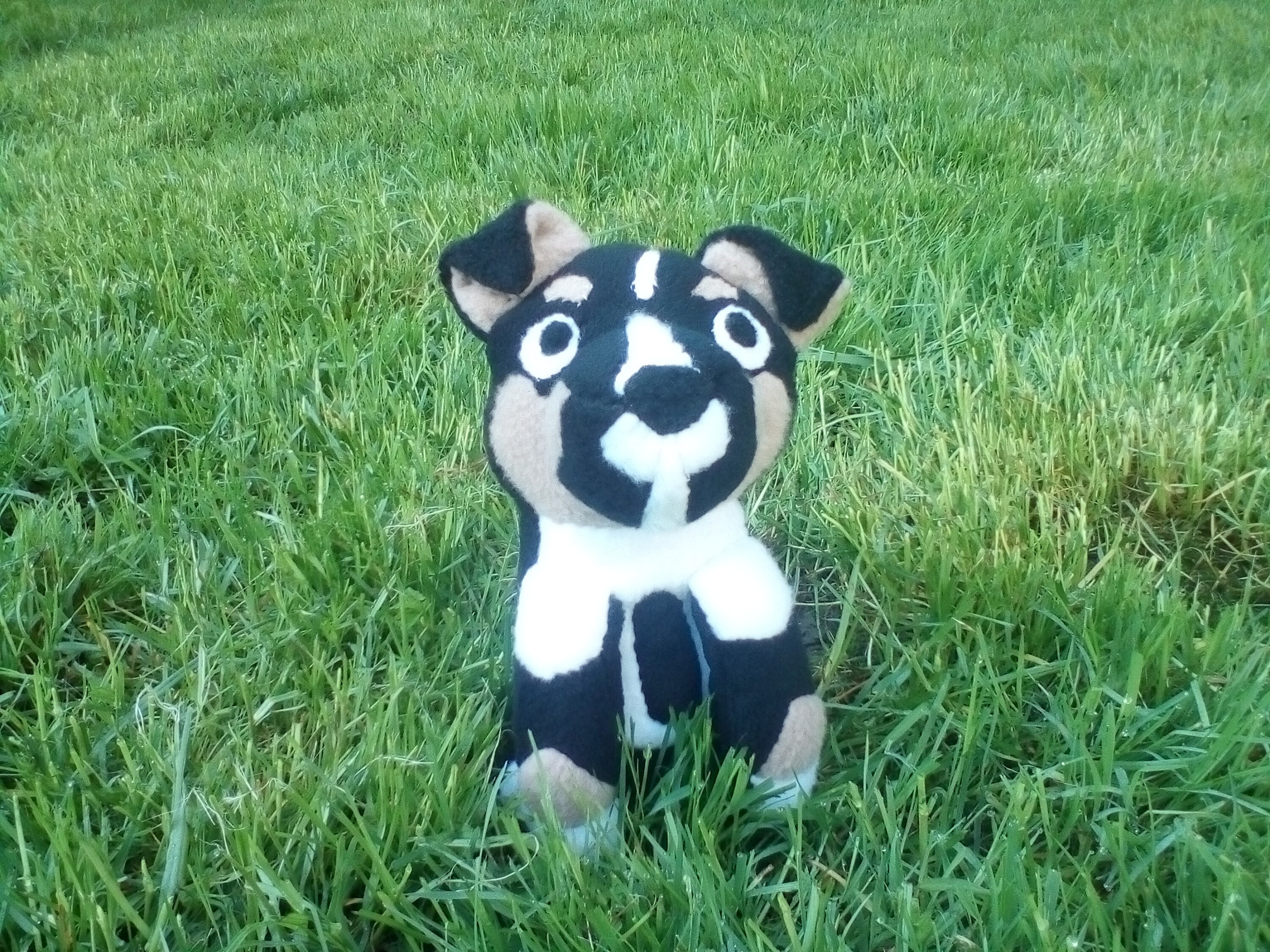 Custom Pet Plush Etsy