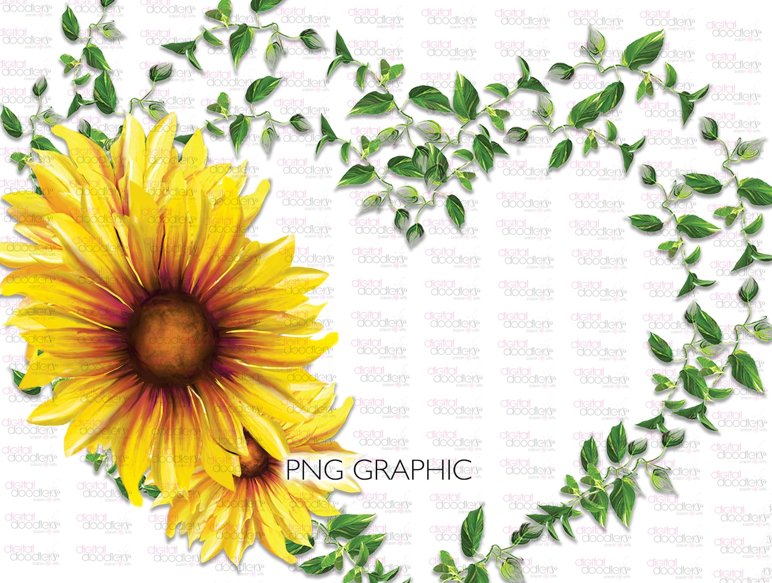 Sunflower Heart Frame Clipart: Watercolor Floral Design (PNG Digital ...