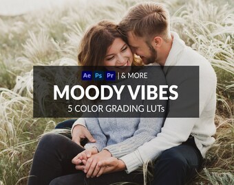 5 Moody Vibes LUTs | Photo + Video  | Moody, Dark, Blogger, Travel | ICC, CUBE, CSP, 3DL Formats Included | For Photoshop, Premiere & more