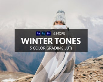 5 Winter Tones LUTs | Photo + Video | Warm, Vibrant, Bright, Travel | ICC, CUBE, CSP, 3DL Formats Included | For Photoshop, Premiere & more