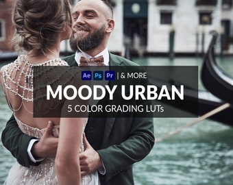 5 Moody Urban LUTs | Photo + Video | Dark, Muted, Urban, Travel | ICC, CUBE, CSP, 3DL Formats Included | For Photoshop, Premiere & more