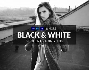 5 Black White LUTs | Photo + Video | Monotone, Deep Blacks, Muted | ICC, CUBE, CSP, 3DL Formats Included | For Photoshop, Premiere & more