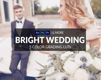 5 Bright Wedding LUTs | Photo + Video | Bright, Warm, Soft | ICC, CUBE, CSP, 3DL Formats Included | For Photoshop, Premiere & more