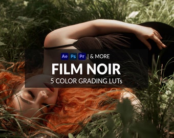 5 Film Noir LUTs | Photo + Video | Dark, Moody, Muted Colors | ICC, CUBE, CSP, 3DL Formats Included | For Photoshop, Premiere & more