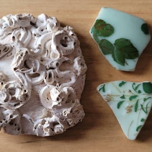 Sea pottery,lovely pendant sized,genuine,sea craft supply,mosaic crafts,thistle, pottery,beach finds.colourful pottery,green sea pottery.