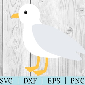 Möwe SVG | Vector Clipart | Ausschneiden von Datei-| Tierdatei | Svg Dxf Eps Png | Datei für Silhouette | Sofortiger Download