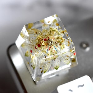 Esc-Harz-Tastenkappe mit natürlicher Astratia-Blume für mechanische Tastatur | Einzigartige Kreation | OEM-Profil