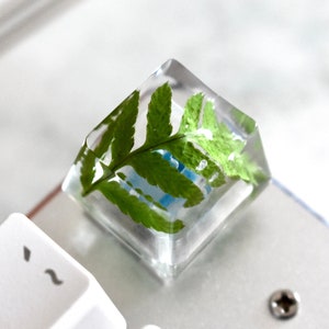 Escape Key with Natural Green Fern Leaf for Mechanical Keyboard | Handmade Resin Keycap | OEM profile - glossy finish | Artisan Keycap