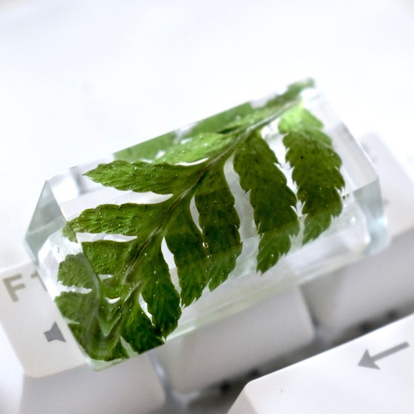 Backspace Plant Resin Keycap with Real Green Fern Leaf for Mechanical Keyboard | Glossy finish | OEM profile
