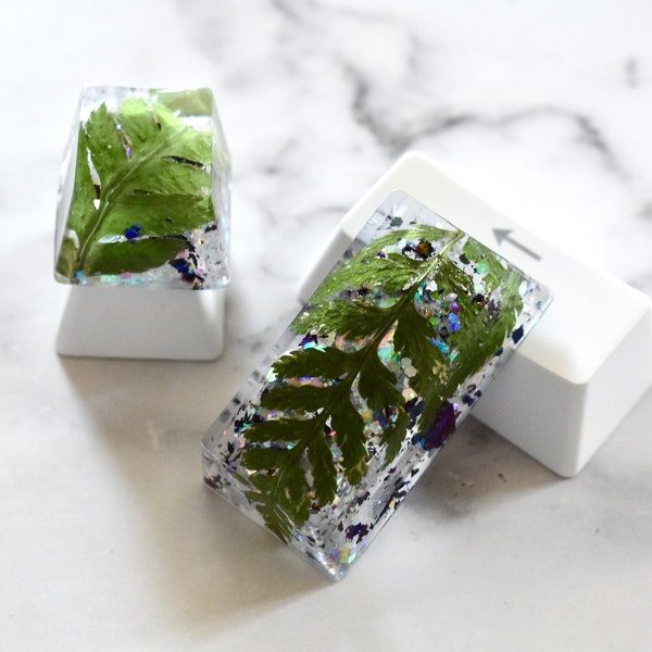 2PCS Keycaps Set for Mechanical Keyboard | Plant Resin Keycaps with Real Fern Leaves and Glitter | Backspace + Escape keys