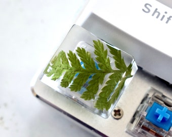 Plant Ctrl Keycap for Mechanical Keyboard | Resin Handmade Keycap with Natural Fern - Glossy Finish | OEM profile