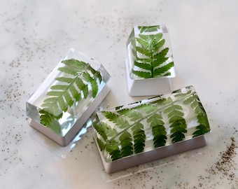 3PCS Keycaps Set for Mechanical Keyboard | Plant Resin Keycaps with Real Fern Leaves | Caps Lock + Left Shift/Enter + Esc keys