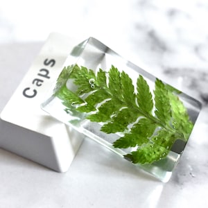 CapsLock Resin Keycap with Real Green Fern Leaf for Mechanical Keyboard | OEM profile | Glossy finish