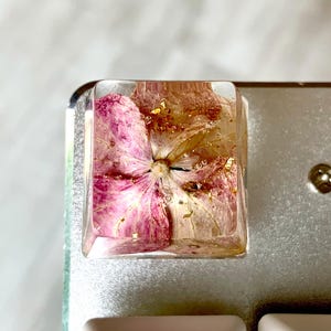 Esc-Harz-Tastenkappe mit natürlicher rosa Blume und Gold für mechanische Tastatur | Einzigartige Kreation | OEM-Profil | MX-Style Vorbau