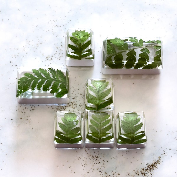 7PCS Plant Resin Keycaps Set with Natural Green Fern Leaves for Mechanical Keyboard | Arrow, Backspace, Caps and Escape Keys | OEM profile