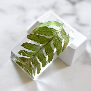 CapsLock Resin Keycap with Real Green Fern Leaf for Mechanical Keyboard - glossy finish | OEM profile