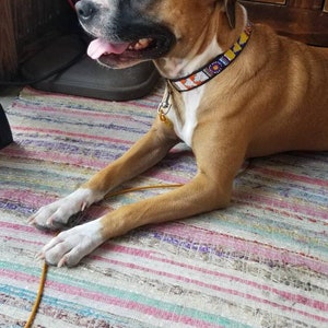 Beaded dog collars. African Maasai beaded dog collars. Gift for your loved animal