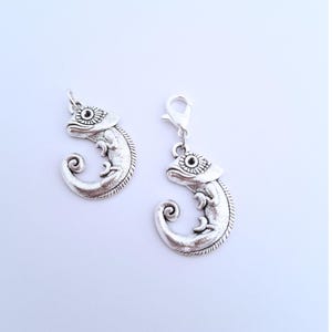 May include: Two silver chameleon charms. One has a lobster clasp, the other a small loop. The charms feature scale detailing and a curled tail, ideal for jewellery making or crafting projects.