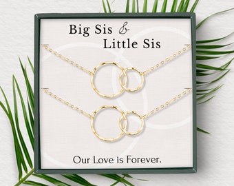 Big Sis Lil sis necklace set, Sister necklace set for 2, Big sister Little sister necklace, interlocking circle necklace Silver