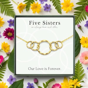5 sisters gift • Five Sisters necklace jewelry • 5 rings for 5 sisters necklace • Sister gift from sister birthday • sterling silver