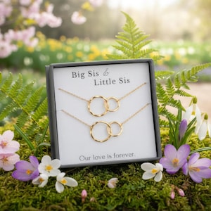Big Sis Lil sis necklace set, Sister necklace set for 2, Big sister Little sister necklace, interlocking circle necklace Silver