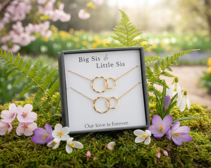 Big Sis Lil sis necklace set, Sister necklace set for 2, Big sister Little sister necklace, interlocking circle necklace Silver