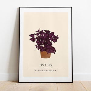 Plant Art Print. Botanical Wall Art. House Plant Print. Plant Illustration. Botanical Plant Poster. Plant Lover Gift. New Home Gift. A4/A3