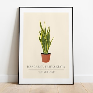 Boho Botanical Print. House Plant Print. Botanical illustration. Boho Home Decor. Plant Poster. Plant Lover Gift. Botanical Wall Art. A4/A3
