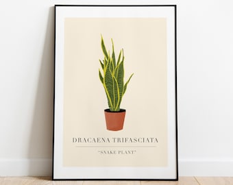 Snake Plant Art Print: Boho Botanical Illustration