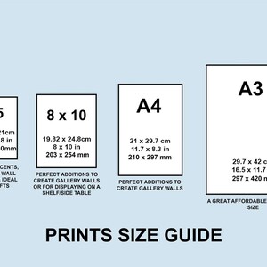 May include: A chart showing different print sizes with their dimensions in both inches and centimeters. The sizes are A5, 8x10, A4, and A3. The chart also includes a brief description of each size.